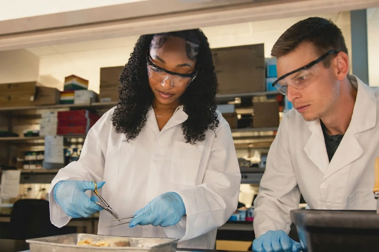 Mayo Clinic Joins Federal AEGIS Initiative to Develop Gene-Editing Cures for Rare Immune Disorders