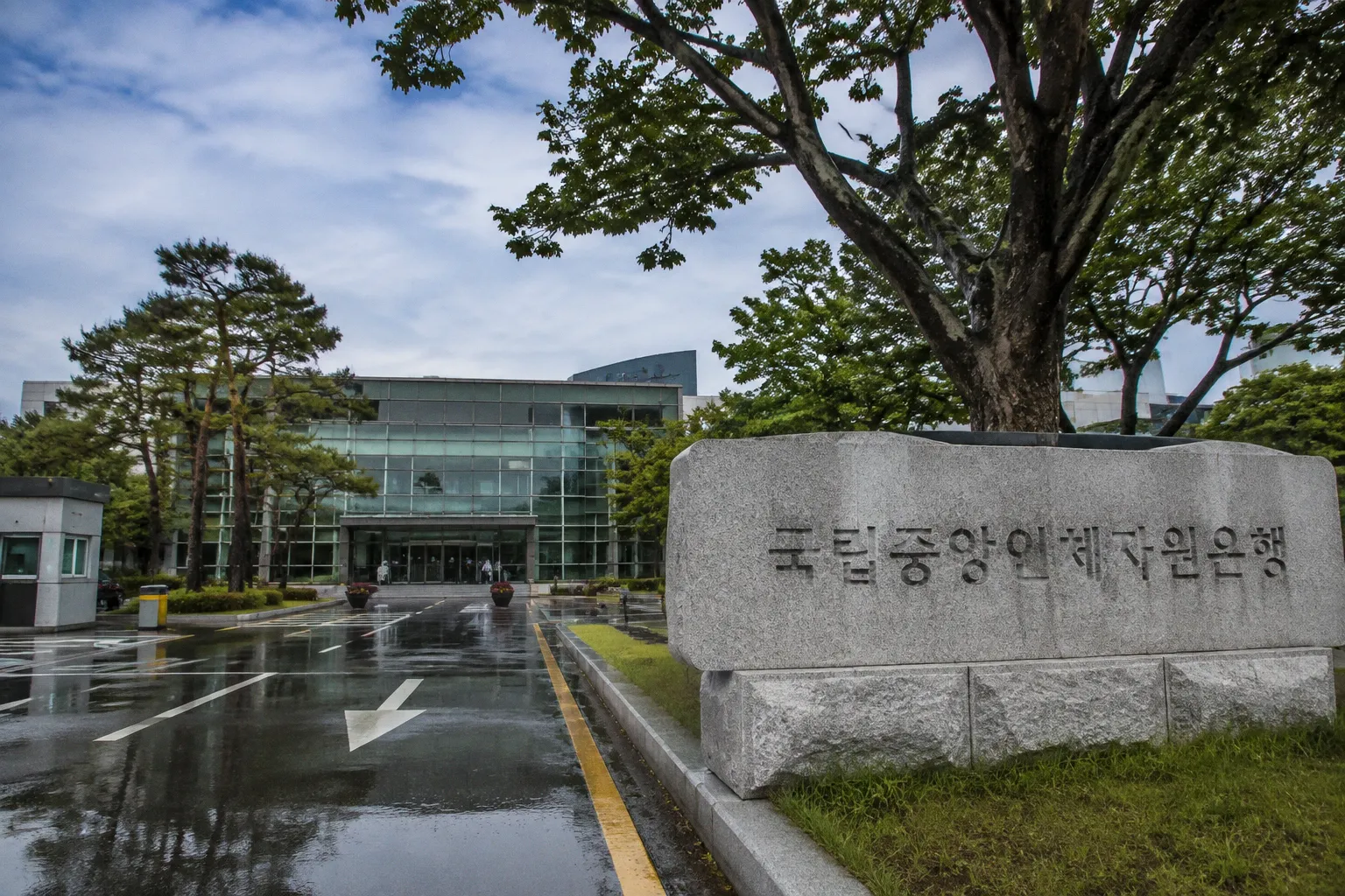 South Korea Launches Whole-Genome Sequencing Initiative for Newborn Rare Disease Screening